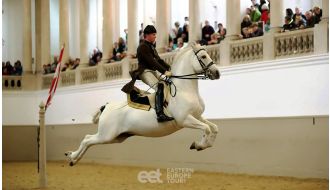 SPANISH RIDING SCHOOL TRAINING IN VIENNA