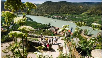 WACHAU VALLEY WINERY BIKING TOUR IN VIENNA